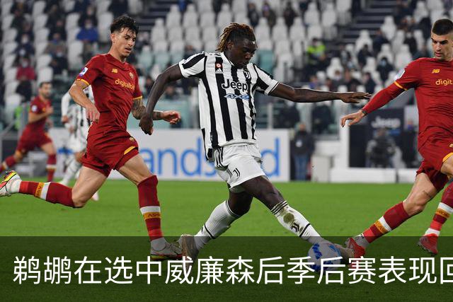 鹈鹕在选中威廉森后季后赛表现回顾
